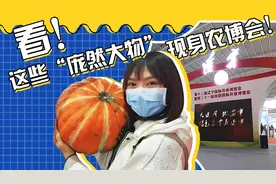 看！这些“庞然大物”现身农博会！视频封面