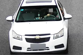 网友举报：我看见一只狗在开车！调查结果来了图片