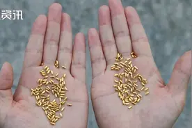 黄金大米今天还在扔！当事人称：“浪费黄金不叫浪费，大米才是！”图片