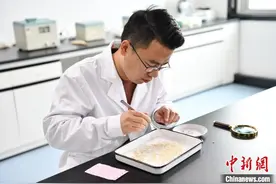 探访“天府粮仓”：粮堆暗藏传感器“绿色科技”守护放心粮图片