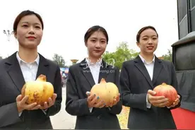 金秋“怀远石榴王”揭晓 这三个品种摘冠图片