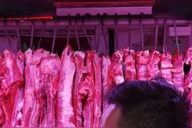 牛肉进口格局生变：中国禁止部分英国牛肉进口，巴西牛肉价格追平国产图片