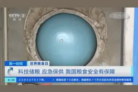 我国粮食连年丰收，如何存好粮确保粮食应急保障？央视记者探访粮库和应急粮仓→图片