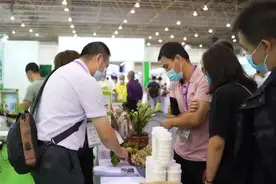 聚焦第六届食博会①|国内外千余家企业参展，美食盛会在莞开幕图片