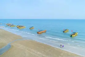 秋风起，鱼虾肥！请您查收这份“赶海”指南，get金滩新玩法！图片