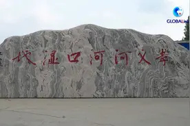 全球连线｜雄安新区设立4年多 白洋淀野生鸟类增加19种视频封面