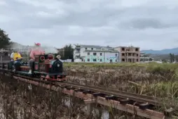 瞒不住了！你熟悉的主持人原来在这里图片