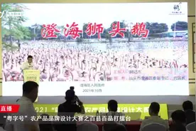 汕头市澄海区区委副书记、代区长胡记杰现场推介澄海狮头鹅视频封面