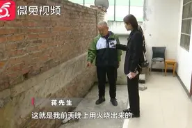 密密麻麻！贵阳这户居民家爬进上千只……还会发出刺鼻的气味图片