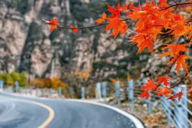 沿109国道一路向西！北京唯一的纯山区，一日可赏“万山红遍”图片