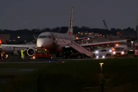 美国一客机降落时爆胎滞留跑道 首都空中交通被中断图片