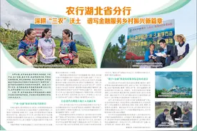 农行湖北省分行 深耕“三农”沃土 谱写金融服务乡村振兴新篇章图片