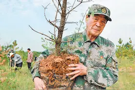 河北省军区原副司令员张连印退休后返乡，义务植树18年——200万棵树！黄土地上绿意浓图片