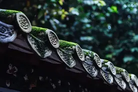 政法学苑 | 欲当大事，须是笃实图片