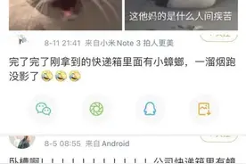 湖南女子网购冬装，衣服上惊现蟑螂卵！快递易长蟑螂？原来是真的……图片