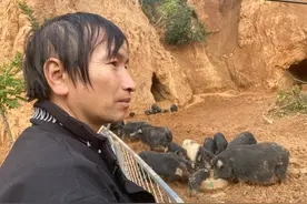 帮助群众尽快渡过难关——山西灵石灾后重建见闻图片