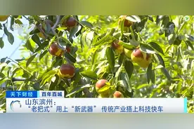 这个城市，是冬枣原产地！还是“中国铝谷”！产值将破600亿元…图片