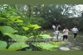 河北峰峰：网红民宿为文旅产业增“流量”视频封面