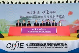 第六届食博会在东莞举行，汇聚五湖四海美食智慧图片