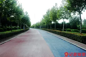 逐绿前行 厚植底色——永济市国土绿化工作综述图片