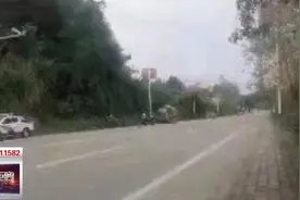 为博眼球朋友圈辱骂交警，女子被行拘5日图片