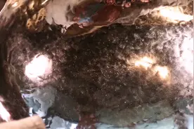 山东手造丨勺底铮明颜色白，几万锤打出一口章丘铁锅图片