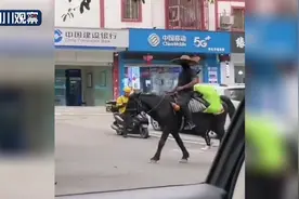 男子“侠客行”骑马上路 交警：快下来图片