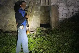 非法射杀果子狸！两名男子进警局图片
