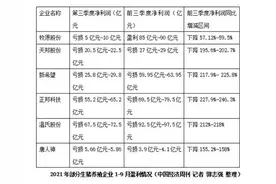 养猪红利退潮后：上百个猪场“烂尾”，仔猪当作烤乳猪贱卖图片