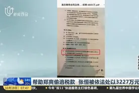 帮助郑爽偷逃税款  张恒被依法处以3227万元罚款视频封面