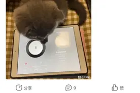 快递业信息泄露再调查：下单当天，你的信息可能已被卖给电诈分子图片