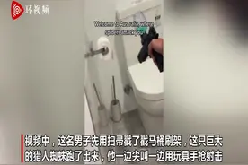澳大利亚居民家中出现巨大猎人蜘蛛 男子用玩具手枪射击图片