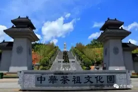 不负茶陵一壶春——2021湖南茶叶乡村振兴“十大领军企业”之茶祖印象图片