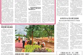 践行初心使命 聚力中心大局 以高质量党建赋能“一极两区”建设图片