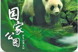 定格下自然风光和生态之美图片
