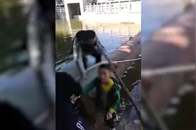 惊险一幕！聊城阳谷一男孩河边捞鱼不慎落水，多名老人合力成功救人图片