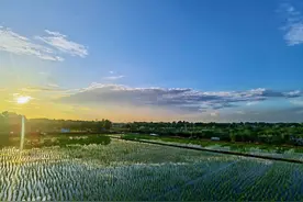 重塑农耕场景，再现乡野情怀！潮玩里水乡村，尽在“美稻里”→图片
