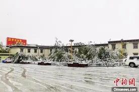 西藏多地迎来降雪天气图片