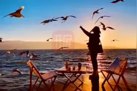 开屏观察｜沃土上疯长起来的大理旅拍，下一个机会点在哪？图片
