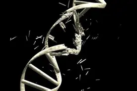 一碰就容易骨折的“瓷娃娃”冒险生娃！太惊险……图片