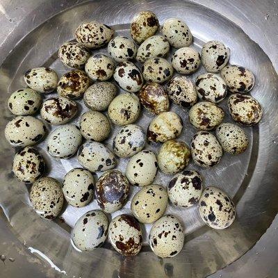 卤鹌鹑蛋