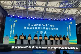 四川名村50强公布图片