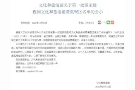 国家级！武汉上榜2个图片