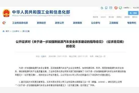 加强安全体系建设 推动新能源汽车产业高质量发展图片