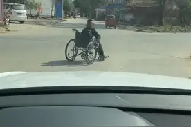 河南一男子坐轮椅拦车讨钱，警方：是残疾人，已多次劝诫图片