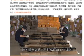 南宁海关查获16把仿真M416图片