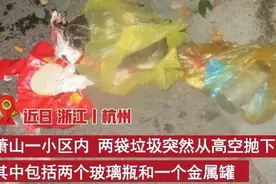 险些酿成大祸！女子高空扔下两袋垃圾被刑拘图片