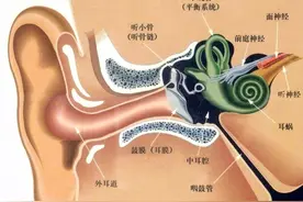 别拿中耳炎不当回事，当心发展成鼓室硬化症图片
