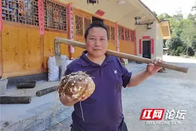 那芋那瓜那狗：湘西大山里的那些乐趣，你们城里人不懂图片