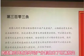 兄妹共同继承的房产，一方想出售，合法吗？图片